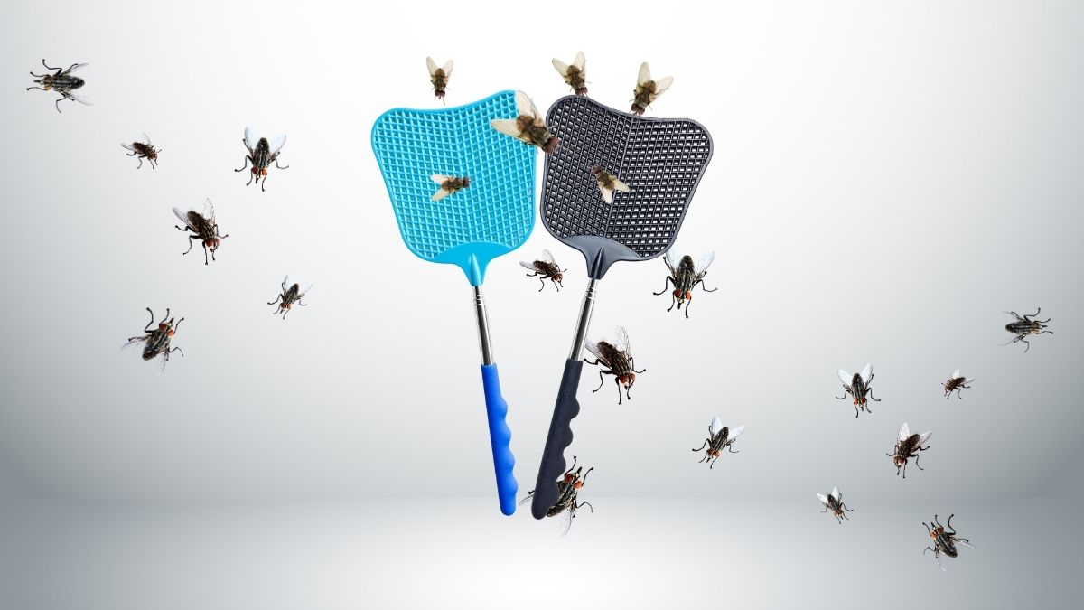 CUNCUI Fly Swatter Heavy Duty Set: Telescopic Pest Control Solution for Every Home