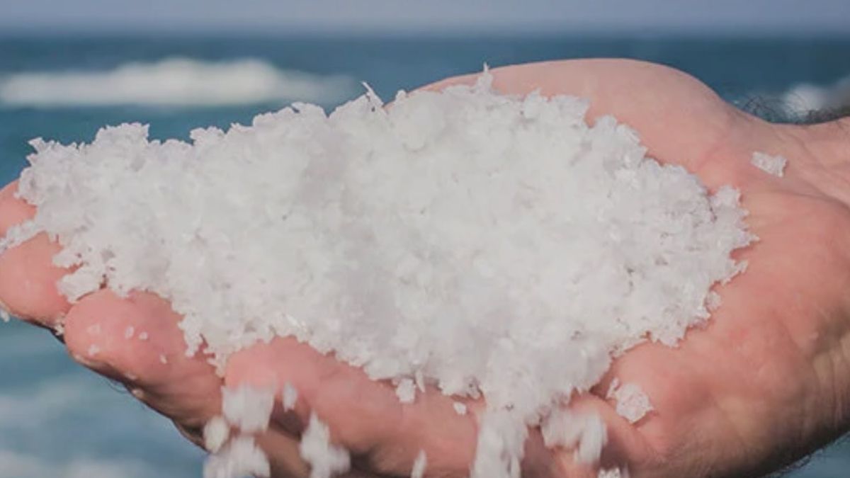 Cornish Sea Salt: Pioneering Sustainable Harvesting in the Heart of Cornwall