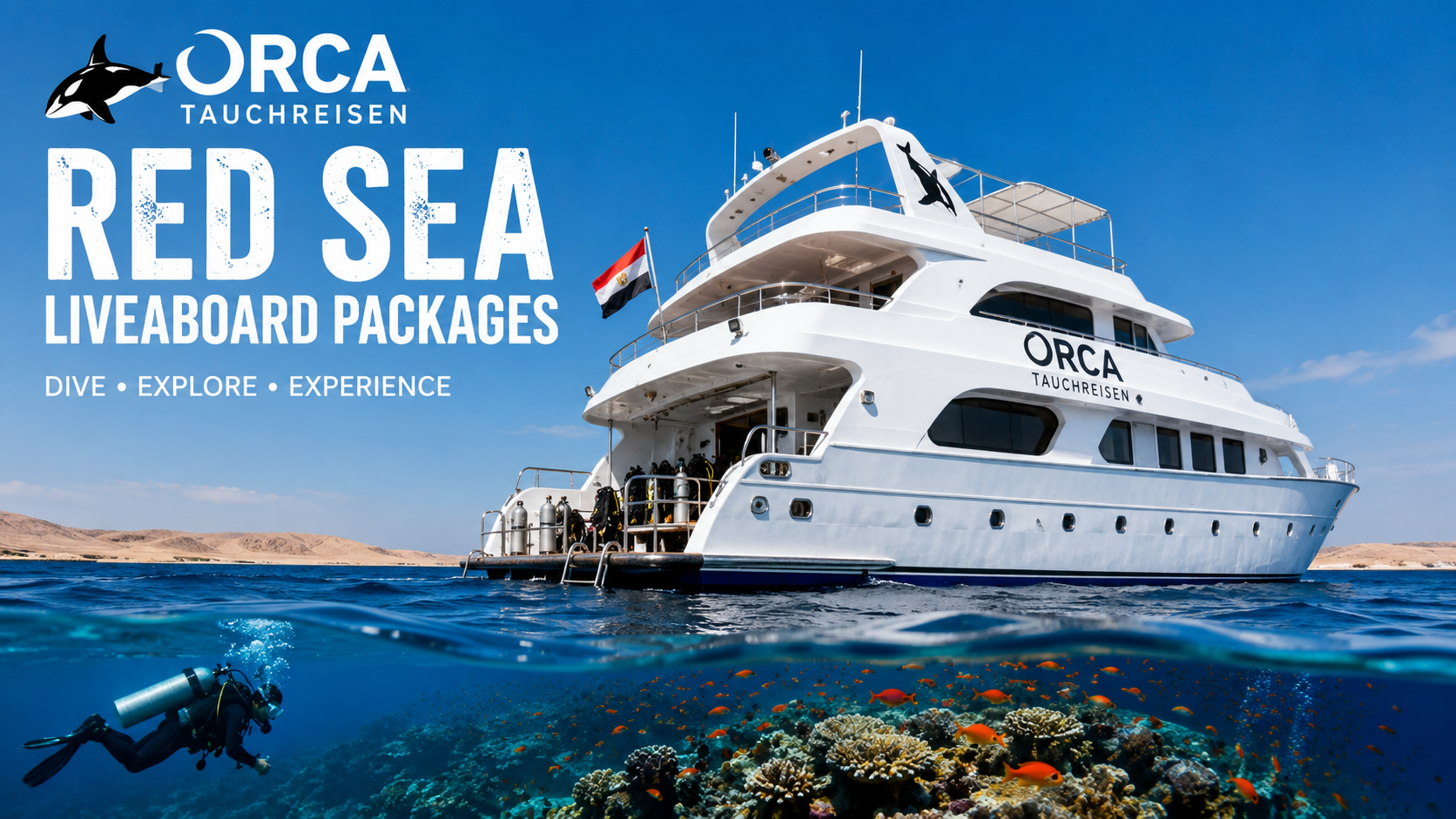 Liveaboard Diving in the Red Sea: Your Complete Guide to Underwater Excellence